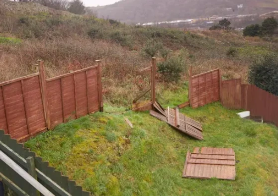 Replace Damaged Fences